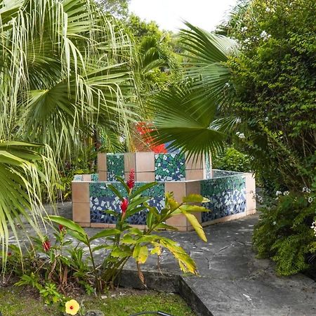 Color Garden - Studio Martinique Sainte-Anne Exterior photo