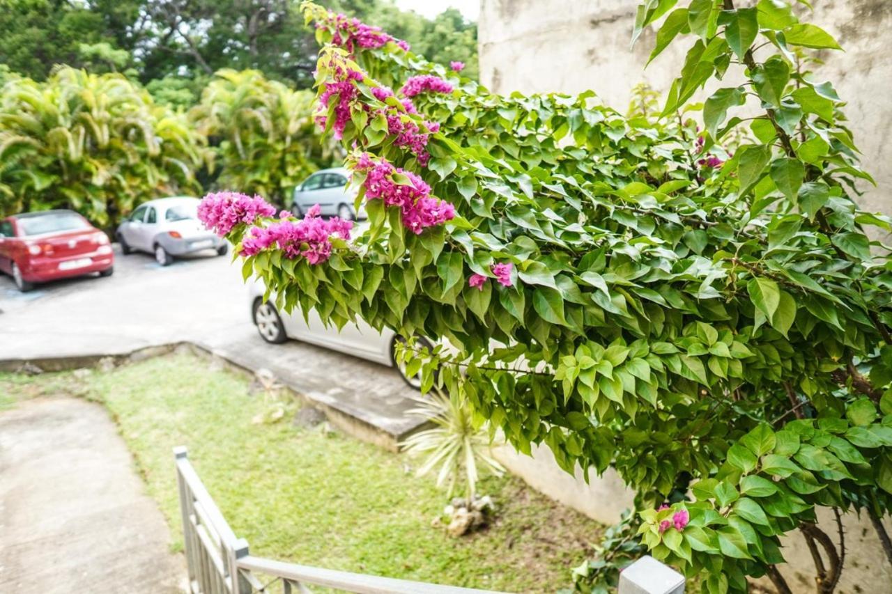 Color Garden - Studio Martinique Sainte-Anne Exterior photo