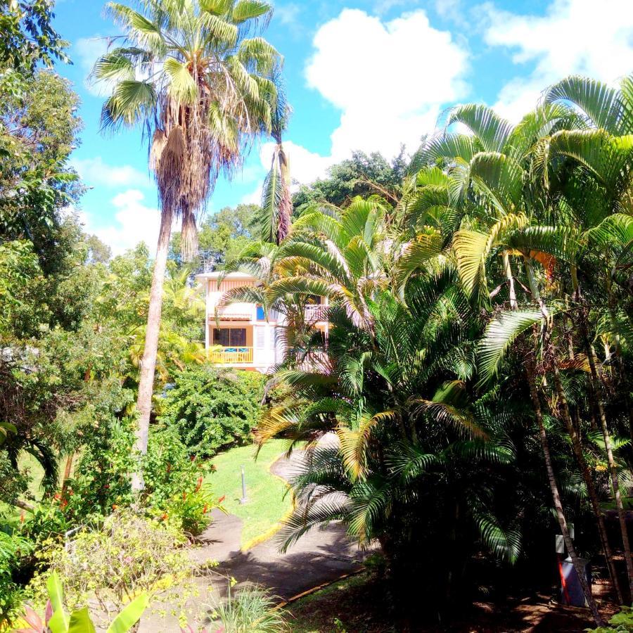 Color Garden - Studio Martinique Sainte-Anne Exterior photo