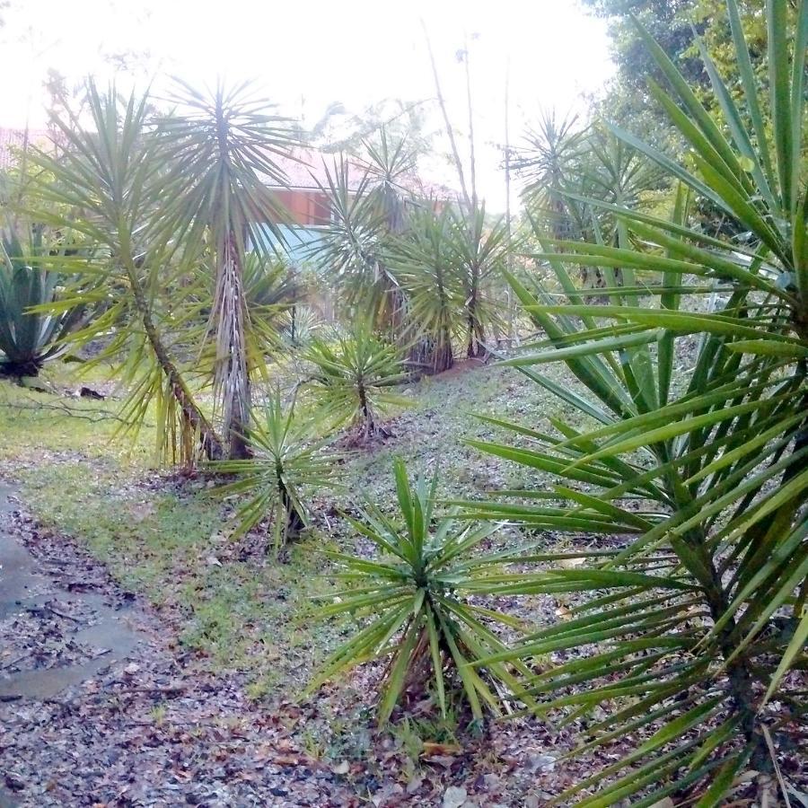 Color Garden - Studio Martinique Sainte-Anne Exterior photo