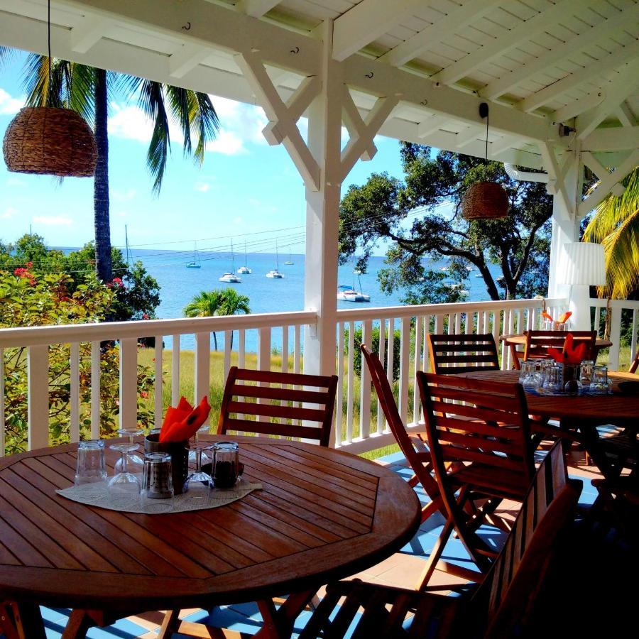 Color Garden - Studio Martinique Sainte-Anne Exterior photo